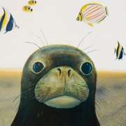 Hawaiian Sea Life Limited Edition by Wyland