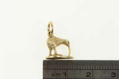 14K Yellow Gold 3D Kiwi New Zealand Bird Animal Charm/Pendant