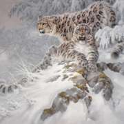 Himalayan Royalty Limited Edition by Fanning (1938-2014)