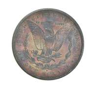 1881-S Morgan Silver Dollar - Great Tone