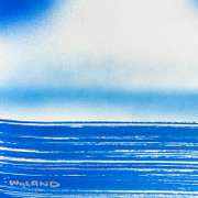 Fluke Original by Wyland