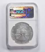 MS70 2011-W American Silver Eagle 25th Anniversary ER NGC