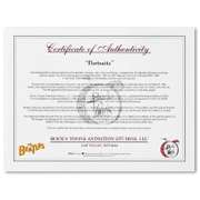 Portraits Limited Edition by Beatles, The