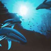 Whale Vision Limited Edition by Wyland