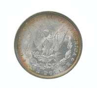 1886 Morgan Silver Dollar - Great Tone