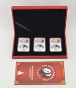 (3) MS70 2021(G), (S), (Y) China 10 Yuan 30g .999 Silver Panda NGC/COA