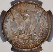 1887 Top 100 Vam 12A DDO Gator &Clash MS 62 Morgan