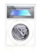 PR70 DCAM 2018-W $25 American Palladium Eagle - Graded ANACS