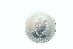 Redback Spider 1 Dollar Queen Elizabeth Silver Coin
