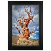 Withness Of Time Limited Edition by Jongas