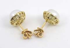 Proper Pearl & Diamond Stud Earrings in 14K YG