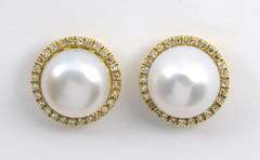 Proper Pearl & Diamond Stud Earrings in 14K YG
