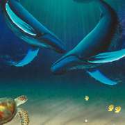 In the Company of Whales Limited Edition by Wyland