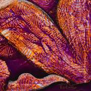 Gravitation of the Sun by Volna Original