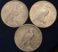 Lot Of 3 Circulated Silver Peace Dollars