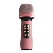 Wireless Bluetooth FM Radio Audio Condenser Microphone
