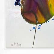 Untitled by Cook Original