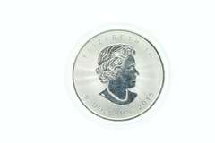 Canadian .9999 Queen Elizabeth Silver Coin