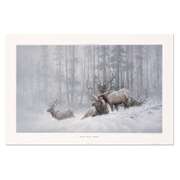 Mountain Majesty Limited Edition by Fanning (1938-2014)