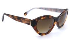 Ladies Giorgia Armani Sunglasses