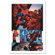 The Amazing Spider-Man #594 Limited Edition by Stan Lee