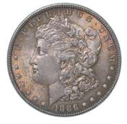 1886 Morgan Silver Dollar Toned Great Color!