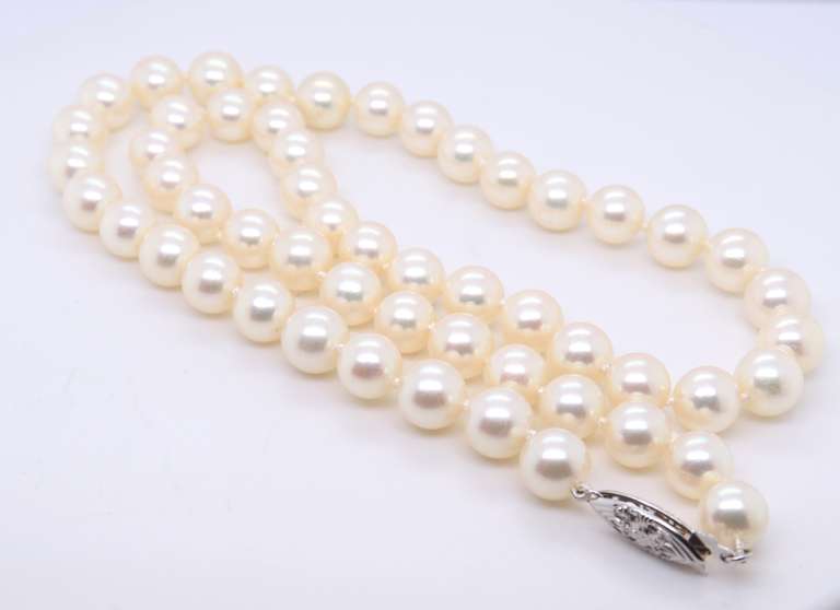 Elegant AA+ Pearl Necklace