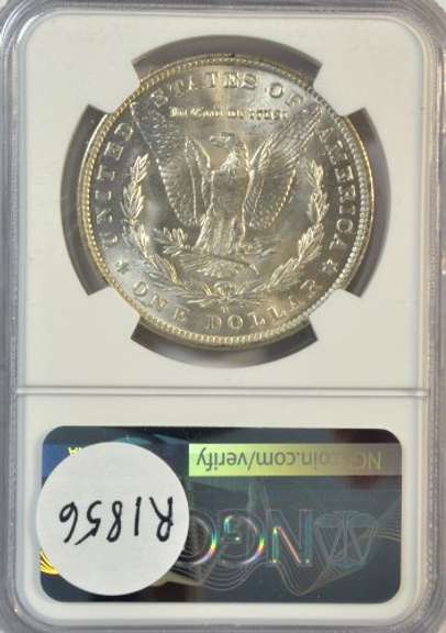 Bright-white near Gem BU 1884-O Morgan Silver Dollar. NGC MS64