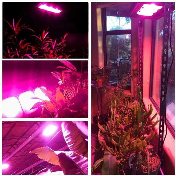 LED 450W Grow Light Full Spectrum Plants Light