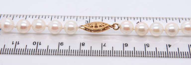 Fresh Water Pearl Necklace with Gold Clasp