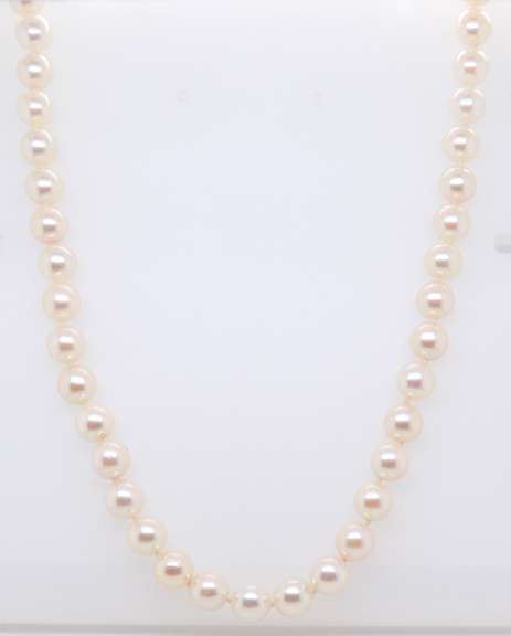 Fresh Water Pearl Necklace with Gold Clasp
