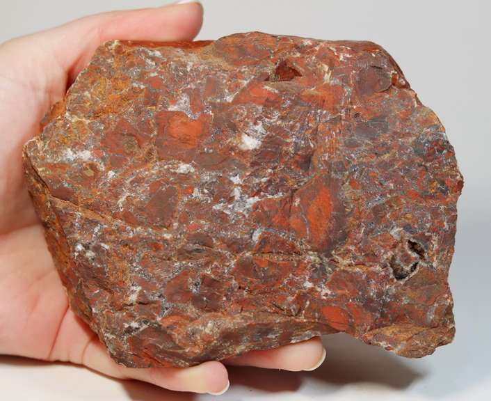 Holy cow! 4,905ct African Tabu Tabu Painted Valley Jasper