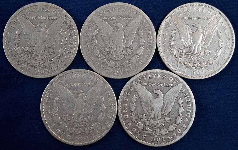 Lot Of 5 Morgan Silver Dollars, Circulated. In Display Box.