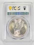MS63 1923 Peace Silver Dollar - VAM 1A - Whisker Jaw - Top 50 - PCGS