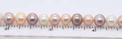 Multi Color Pearl Necklace