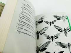 1984 Field Guide to the Moths, Eastern N. America