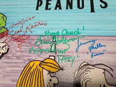 The Peanuts Cast Autographed 16x20 Framed Canvas BAS Witness ACOA