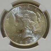 1923 Peace Dol NGC MS-62 toned