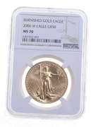 MS70 2006-W $50 Burnished American Gold Eagle - Graded NGC