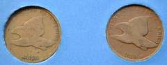 Starter Indian Head Cent Collection