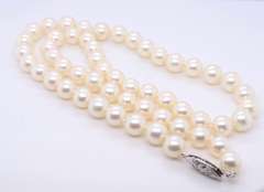 Elegant AA+ Pearl Necklace