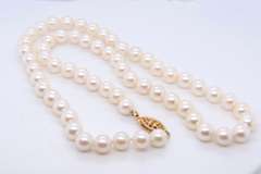 Fresh Water Pearl Necklace with Gold Clasp