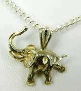 Sterling Good Luck Elephant Pendant & Chain