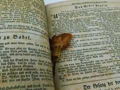 1828 Martin Luthers German Leather Bible