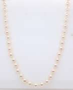 Fresh Water Pearl Necklace with Gold Clasp