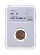 MS64 RD 1899 Indian Head Cent - Graded NGC
