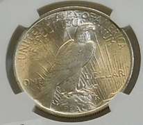 1923 Peace Dol NGC MS-62 toned