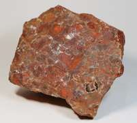 Holy cow! 4,905ct African Tabu Tabu Painted Valley Jasper