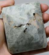 Tremendous 2,425ct untreated Beryl