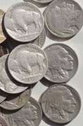 120 Full Date Buffalo Nickels